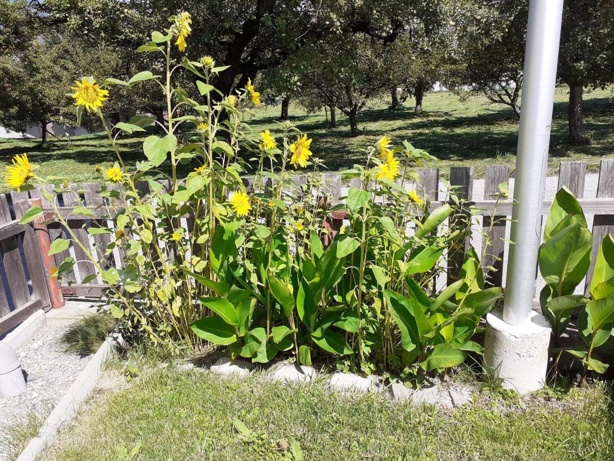 אינסברוק Ferienhaus Beim Lener מראה חיצוני תמונה